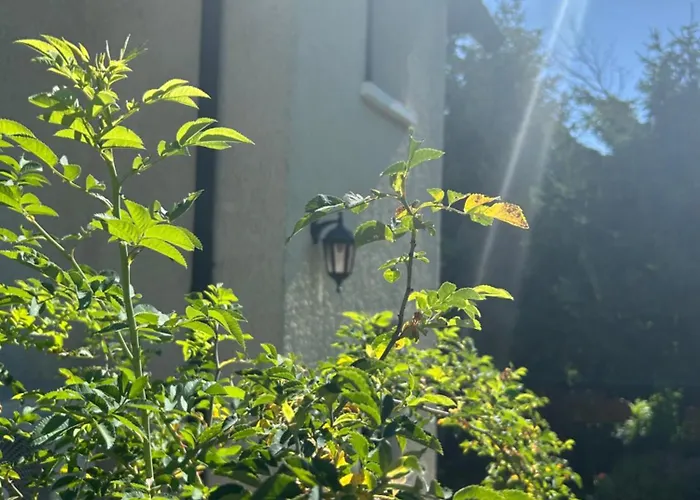 3 Vue Sur Dans Maison Avec Climatisation Apartman Annecy